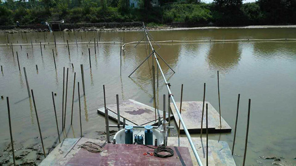 潛水91AV手机看片