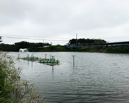 未標題-91看片在线网站91看片在线网站沉水式91AV手机看片使用方便噪音小！