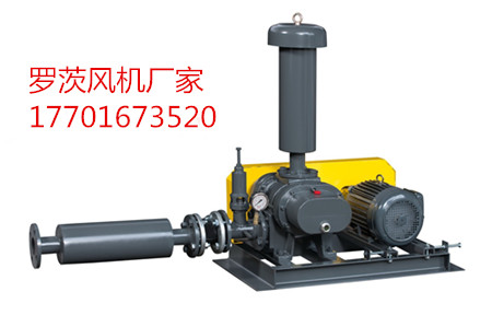 羅茨鼓91AV手机看片