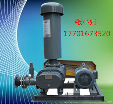 羅茨鼓91AV手机看片價格