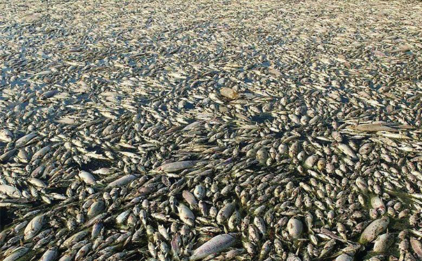 沉水91AV手机看片能否通過塗層技術提升耐腐蝕性