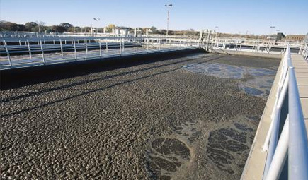 深夜看片网站曝氣