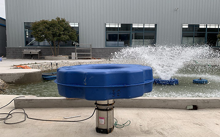 91看片在线网站1